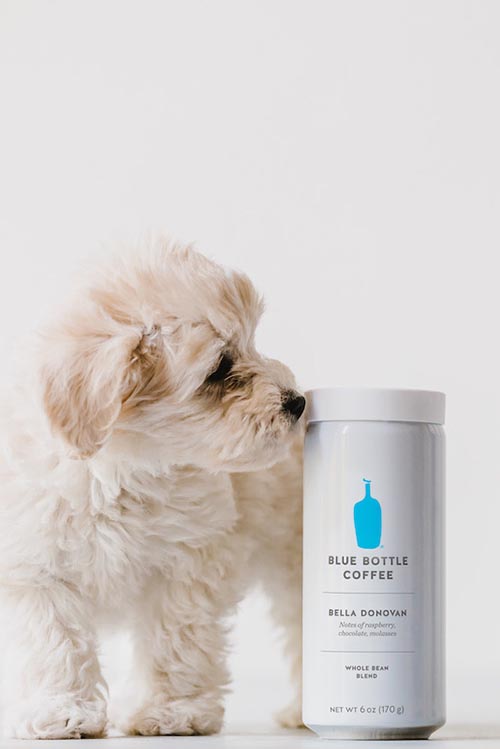 Blue Bottle почали випускати каву в алюмінієвих банках