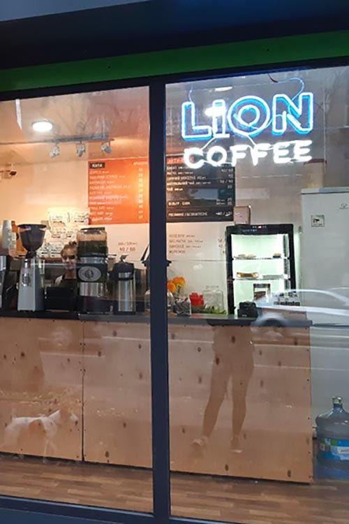 Lion Coffee відкрили кав’ярню у МАФі на Лук’янівці