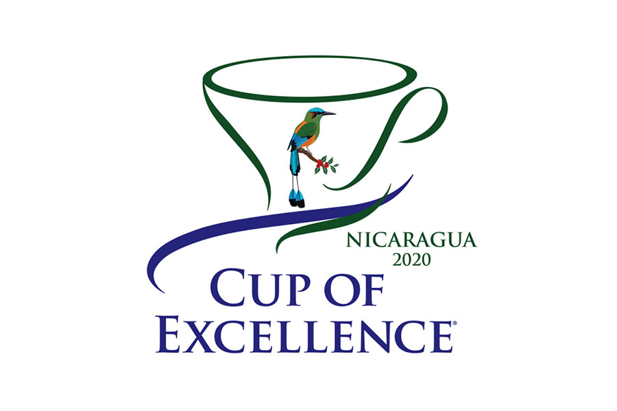 Оцінювання кави Cup of Excellence провели в Нікарагуа. Перемогли 17 лотів, два набрали 90+ балів