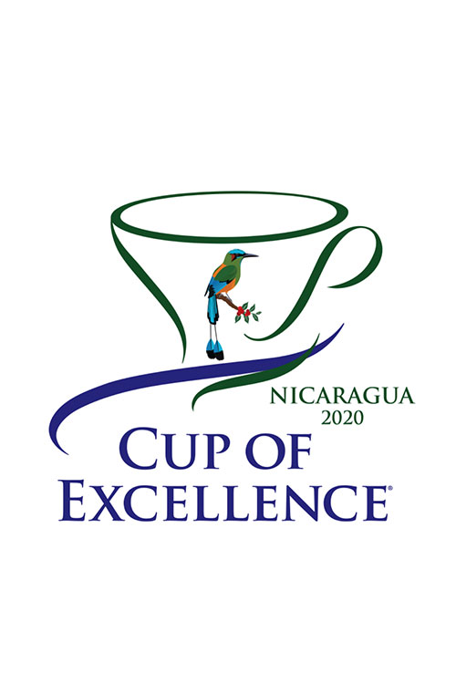Оцінювання кави Cup of Excellence провели в Нікарагуа. Перемогли 17 лотів, два набрали 90+ балів