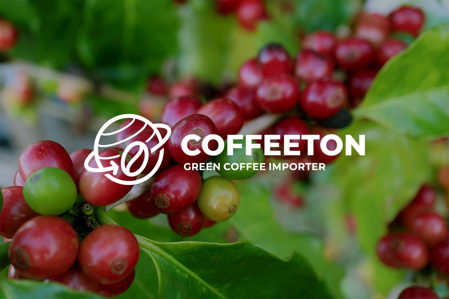 Coffeeton пропонує безкоштовне навчання в Custom Coffee School: як виграти