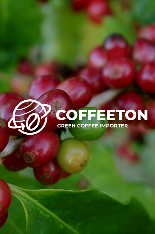 Coffeeton пропонує безкоштовне навчання в Custom Coffee School: як виграти