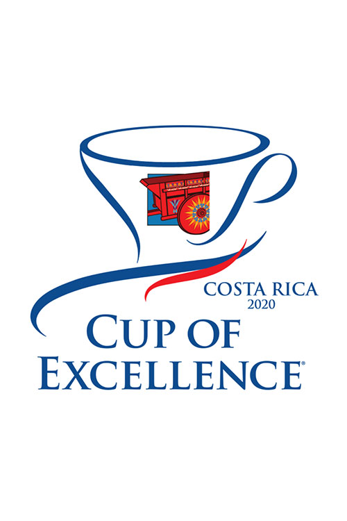 Оцінювання кави Cup of Excellence провели в Коста-Риці. Перемогли 26 лотів, чотири набрали 90+ балів