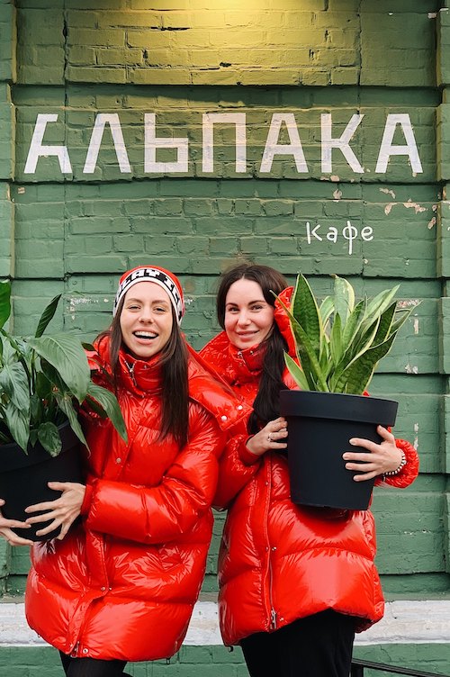 Кафе «Альпака» відкрили на Жилянській